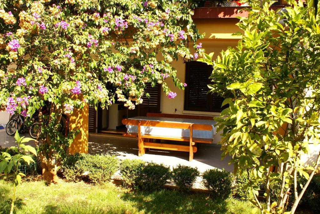 Apartma Stosic
